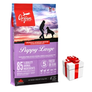 ORIJEN Dog Puppy Large 11,4kg + Überraschung für den Hund