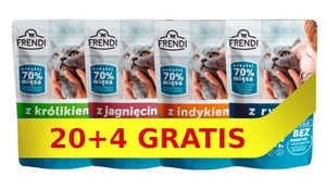 Frendi-Stücke in delikater Sauce Geschmacksmix 24x100g