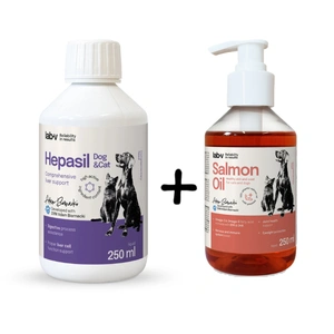Lab-v Hepasil Dog & Cat – Ergänzungsfuttermittel zur Unterstützung der Leberfunktion bei Hunden und Katzen, 250 ml + Lab-v Lachsöl – 100 % Lachsöl für Hunde und Katzen 250 ml