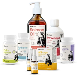 Lab-v Pet Care Box MAXI – Geschenkset für Hunde