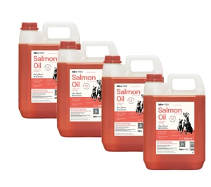 Lab-v Lachsöl – 100 % Lachsöl für Hunde und Katzen 4x5000 ml