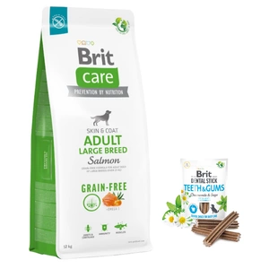 BRIT CARE Dog Grain-free Adult Large Breed Salmon 12kg + BRIT CARE Dog Dental Stick Teeth & Gums -5% billiger!!!