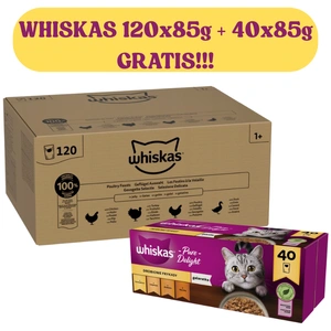 Whiskas Geflügel-Festmahl 120x85g Nassfutter für ausgewachsene Katzen in Gelee + WHISKAS Adult 40x85 g Geflügelfrikadellen