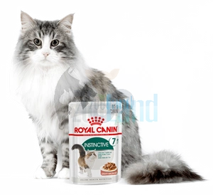 ROYAL CANIN Feline Instinctive +7 Soße 12x85g