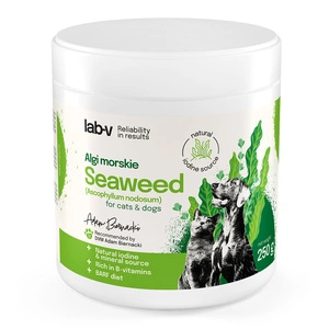 Lab-v Meeresalgen - eine natürliche Quelle von Jod und Mineralien für Hunde und Katzen 400 g