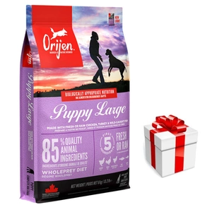 Orijen Puppy Large 6kg + Überraschung für den Hund