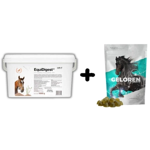 LAB-V EquiDigest verdauungsfördernde Futtermischung für Pferde 1kg + GELOREN HA Gelenkunterstützungsgel für Pferde 450G