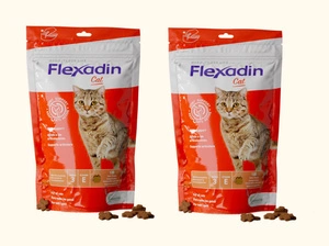 VETOQUINOL Flexadin Katze 2x60 Kapseln