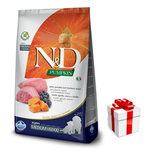Farmina N&D Kürbis Getreidefrei für Hunde LAMB & BLUEBERRY ADULT MEDIUM & MAXI 12kg + Überraschung für den Hund