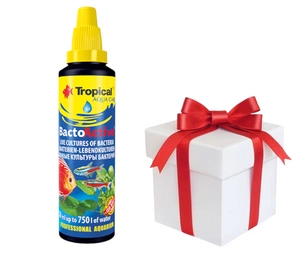 TROPICAL Bacto-Active 30ml + Probe von Tropical Fischfutter