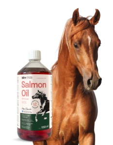 Lab-v Lachsöl - 100% Atlantisches Lachsöl für Pferde 1000 ml