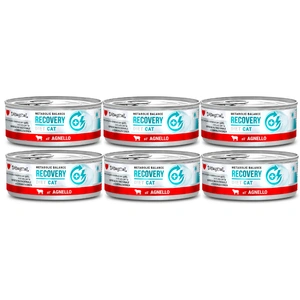 Disugual Veterinary RECOVERY Lamm Nassfutter für Katzen (Erwachsene) 6x85g