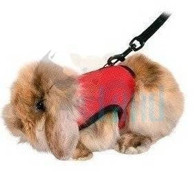 Softgeschirr mit Leine, Bauchumfang: 25-32 cm