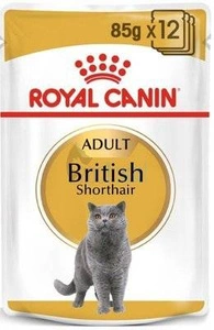 ROYAL CANIN British Shorthair Adult Beutel 12x85g in Soße