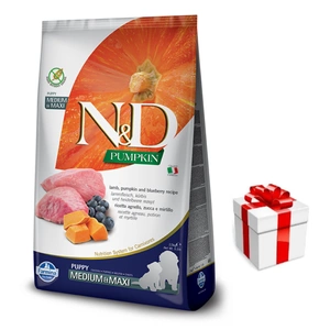 Farmina N&D Pumpkin Grain Free canine LAMB & BLUEBERRY PUPPY MEDIUM & MAXI 12kg + Überraschung für den Hund