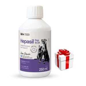 Lab-v Hepasil Dog & Cat – Ergänzungsfuttermittel zur Unterstützung der Leberfunktion bei Hunden und Katzen, 250 ml+ Überraschung für die Katze