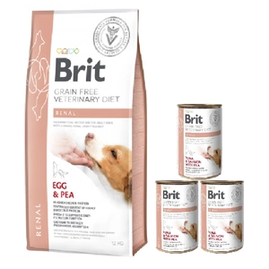 Brit gf Tiernahrung Hund Nieren 12kg + BRIT GF veterinary diets dog Renal 3x400g
