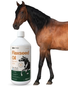 Lab-v Leinsamenöl - 100% kaltgepresstes Leinsamenöl für Pferde 1000 ml