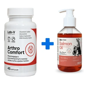 Lab-v Arthro Comfort – Umfassende Unterstützung für Gelenke und Bewegungsapparat bei Hunden und Katzen, 45 Kapseln + Lab-v Lachsöl 250ml