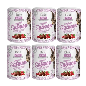 BRIT CARE Cat Snack Superfruits Salmon 6x100g