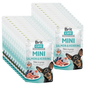 Brit Care Mini Lachs- & Heringsfilets in Soße 24x85g