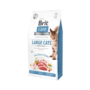 BRIT Care Grain-Free Große Katzen Power & Vitality 2kg