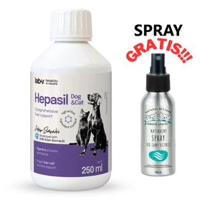 Lab-v Hepasil Dog & Cat – Ergänzungsfuttermittel zur Unterstützung der Leberfunktion bei Hunden und Katzen, 250 ml