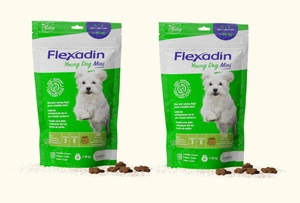 VETOQUINOL Flexadin Junger Hund Mini 2x60 Kapseln