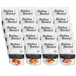 DOLINA NOTECI MIX 20x300g Nassfutter für Hunde