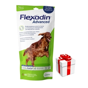 VETOQUINOL Flexadin Advanced 60 Snack + Überraschung für den Hund