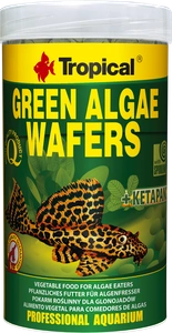 TROPICAL Green Algae Wafers 250ml/113g
