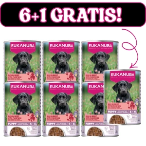 EUKANUBA Nassfutter für Welpen, reich an Rindfleisch und Kürbis 6x400g + 400g Gratis