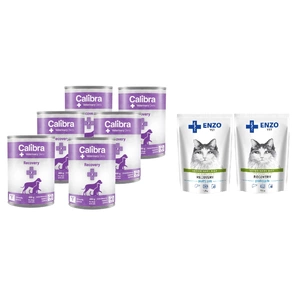 Calibra Veterinary Diets Recovery Dog/Cat 6x400g + ENZO VET Recovery für Katzen 2x100g
