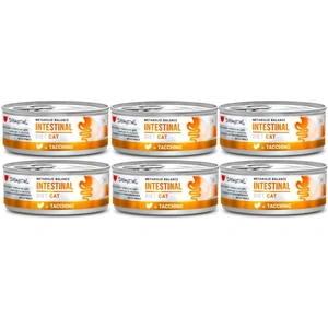 Disugual Veterinary INTESTINAL Truthahn (Erwachsene) Nassfutter für Katzen 6x85g