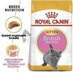 ROYAL CANIN British Shorthair Kitten 2kg