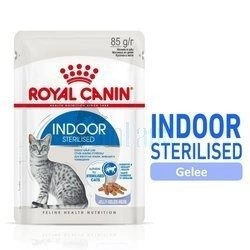ROYAL CANIN Indoor Sterilisiert in Gelee 12x85g