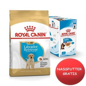 ROYAL CANIN Labrador Retriever Junior 12kg +Nassfutter GRATIS!