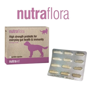 NUTRAVET Nutraflora für Hunde & Katzen 48 Kapseln - Ein Probiotikum, das die tägliche Darm- und Immungesundheit stark unterstützt