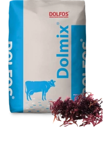 DOLFOS Dolmix ALG 20kg