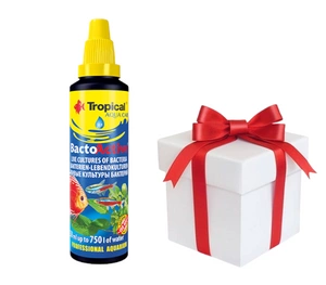 TROPICAL Bacto-Active 250ml + Probe von Tropical Fischfutter