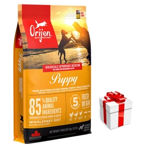 ORIJEN Dog Puppy 6kg + Überraschung für den Hund