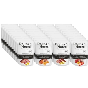 DOLINA NOTECI Hühnergericht MIX 40x100g - Nassfutter für Hunde