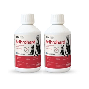 Lab-v Arthrohard – Umfassende Unterstützung für die Gelenkgesundheit von Hunden und Katzen 2x250 ml