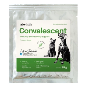 Lab-v Convalescent – Regeneration und Unterstützung des Immunsystems für Hunde und Katzen 20 g