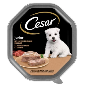 CESAR Junior Schale 150 g – Alleinfuttermittel für Welpen, mit Truthahn und Kalbfleisch, in Pastete