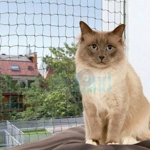 TRIXIE Schutznetz, drahtverstärkt, 3×2 m