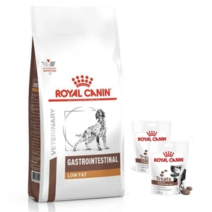 ROYAL CANIN Gastro Intestinal Low Fat LF22 12kg + Royal Canin Dog Gastrointestinal Treats  Hundeleckerli 2x230g