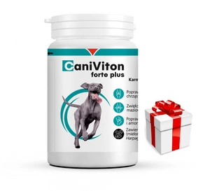 VETOQUINOL Caniviton forte plus - 90 tab. + Überraschung für den Hund