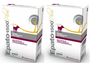Epato 1500 plus 2x32