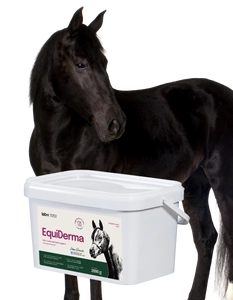 Lab-v EquiDerma Ergänzungsfuttermittel für Pferde und Ponys zur Unterstützung von Haut, Fell und Hufbeschaffenheit 2000g